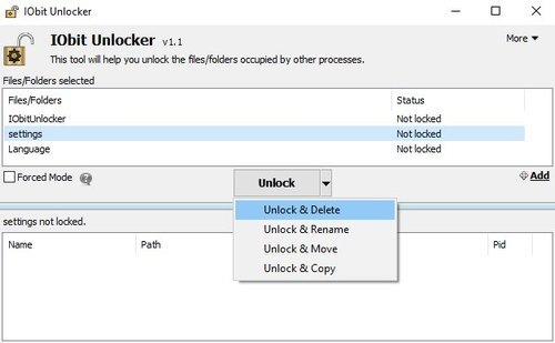 IObit Unlocker 1.2.0.2 Portable