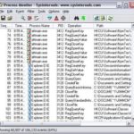 Process Monitor 4.01 Portable